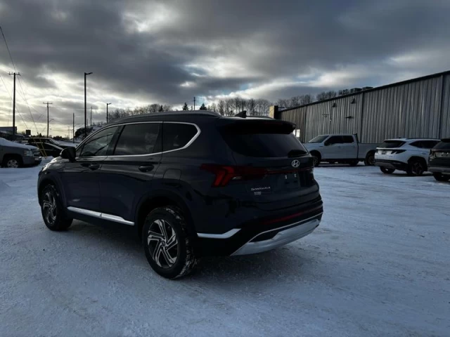 Hyundai Santa Fe Preferred AWD w/Trend Package 2023