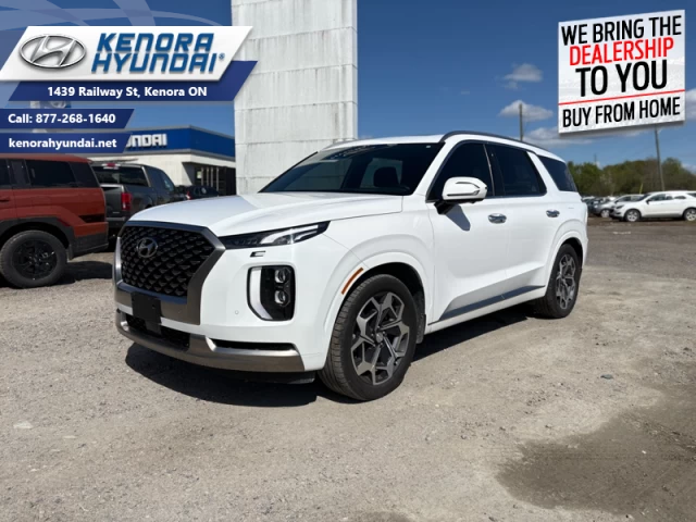 Hyundai Palisade Ultimate Calligraphy 2022