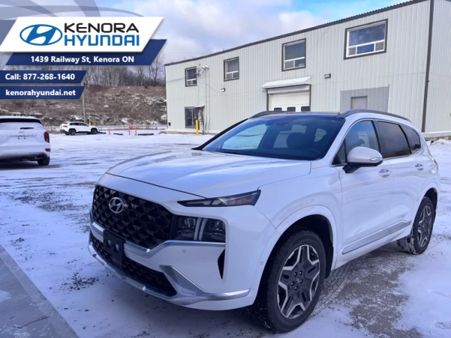 Hyundai Santa Fe - 2021