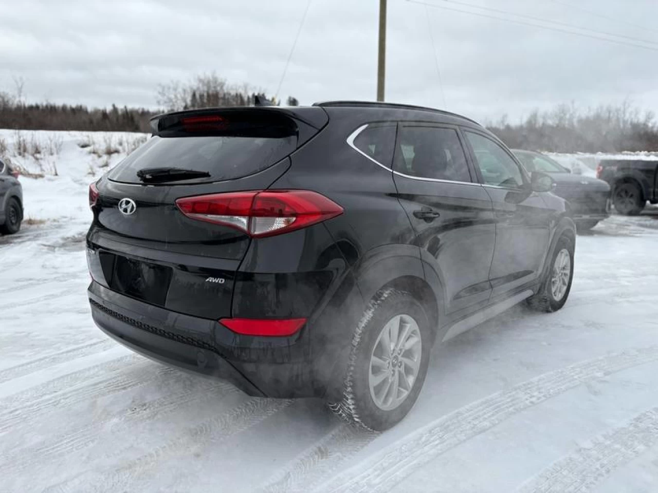 2017 Hyundai Tucson 2.0L Luxury AWD Main Image