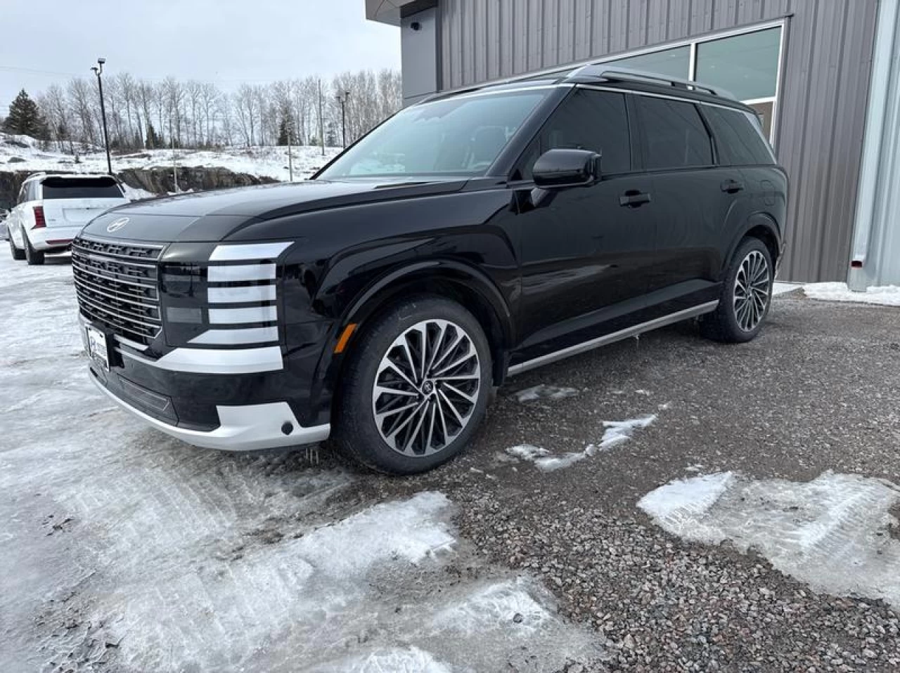 2026 Hyundai Palisade Ultimate Calligraphy Main Image