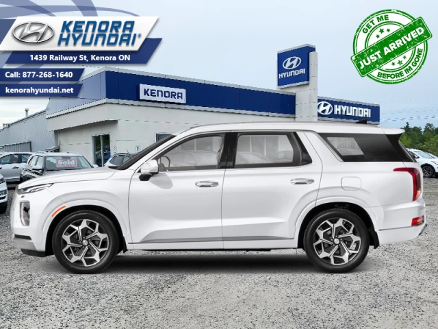 Hyundai Palisade Ultimate Calligraphy 2022