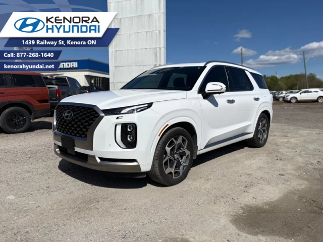 Hyundai Palisade Ultimate Calligraphy 2022