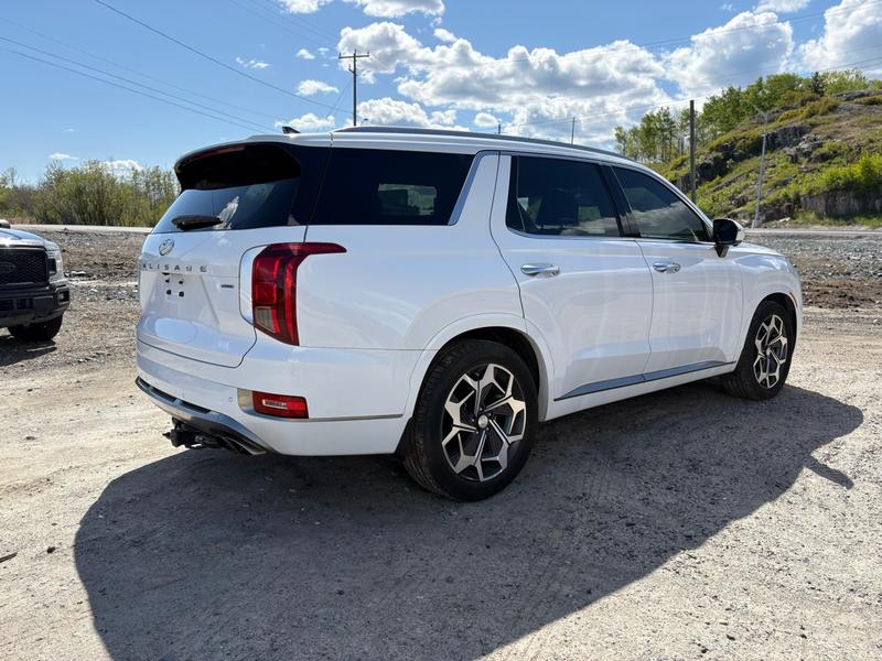 2022 Hyundai Palisade Ultimate Calligraphy Main Image